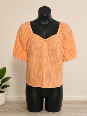 Plus Clothing Torrid NWT